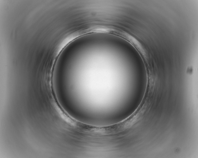 X0000092091194200709121506