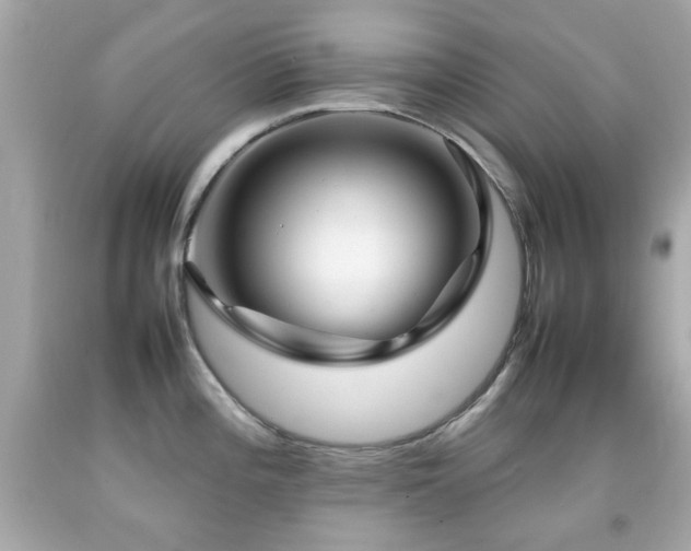 X0000092091196200709121506