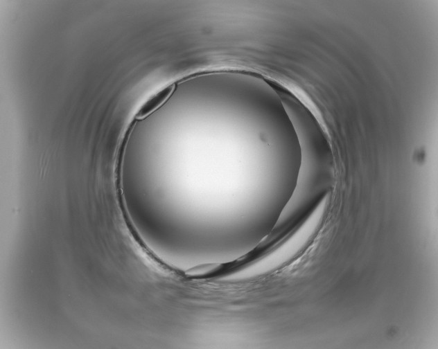 X0000092091197200709121506