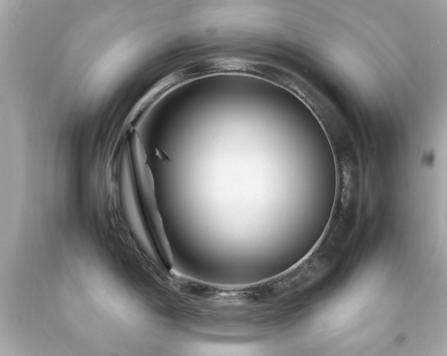X0000092091198200709121506