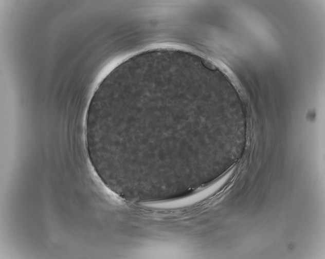 X0000092091199200709121506