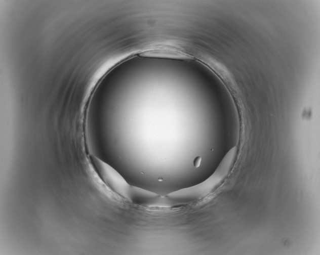 X0000092091200200709121506