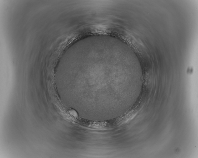 X0000092091201200709121505
