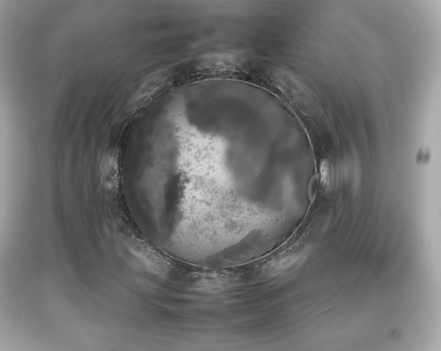 X0000092091203200709121505