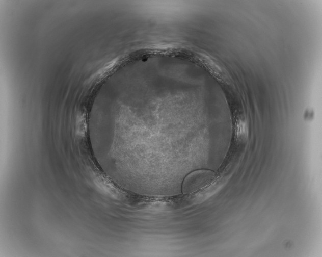 X0000092091204200709121505