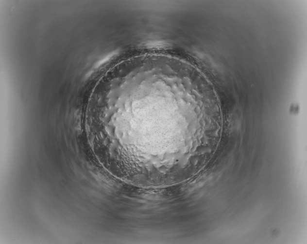 X0000092091205200709121505