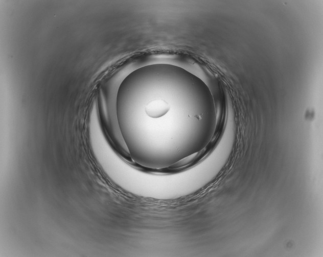 X0000092091206200709121505