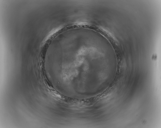 X0000092091207200709121505