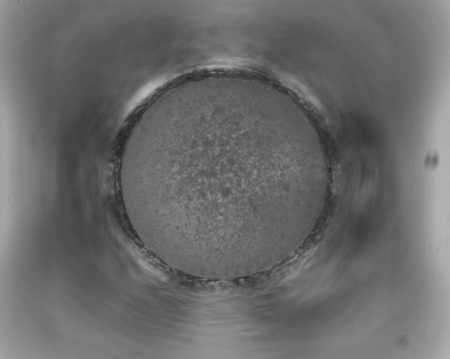 X0000092091208200709121505
