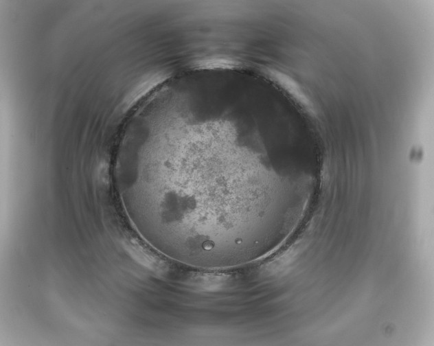 X0000092091209200709121506