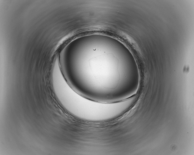 X0000092091210200709121506