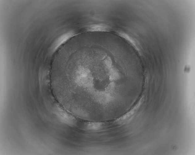 X0000092091211200709121506