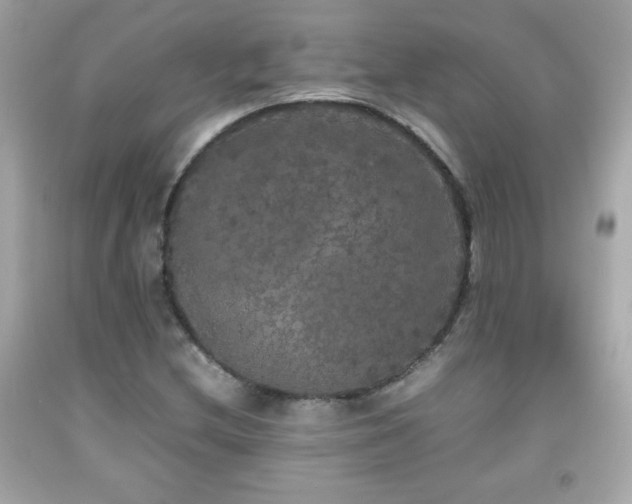 X0000092091212200709121506