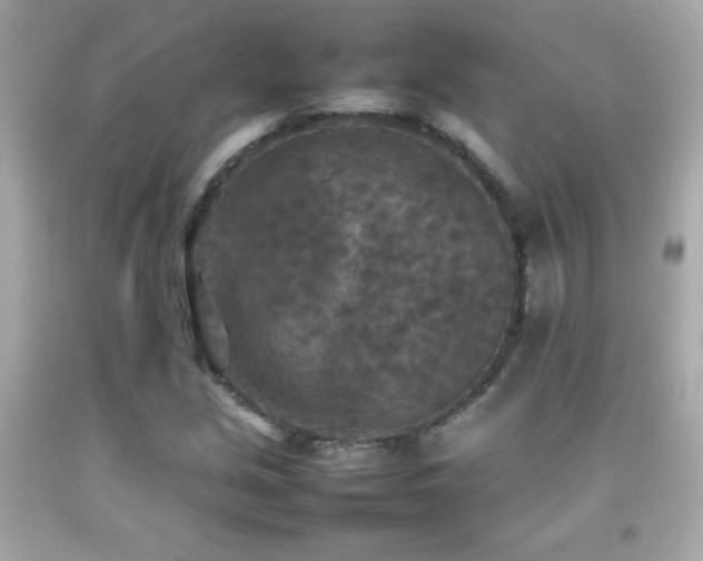 X0000092091213200709121506