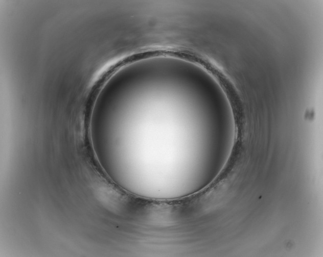 X0000092091214200709121506