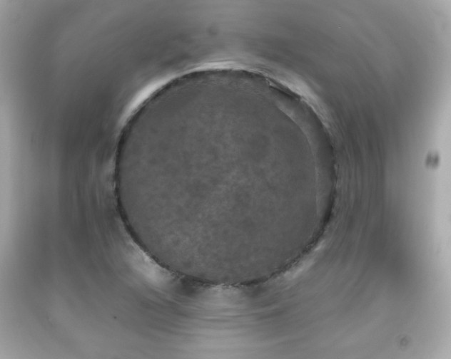 X0000092091216200709121506