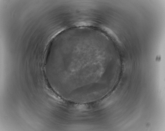 X0000092091217200709121506