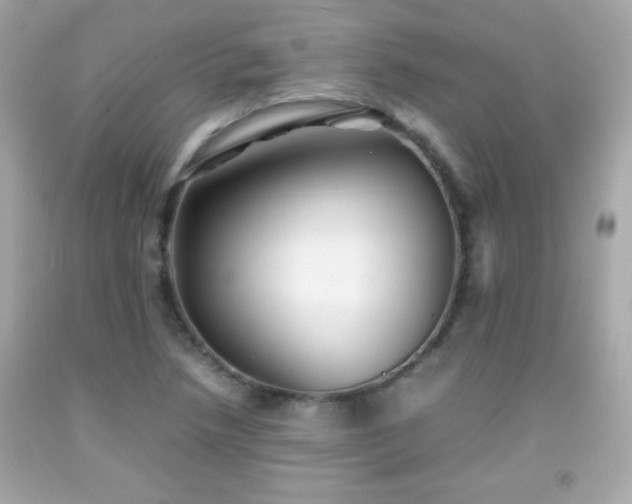 X0000092091218200709121506
