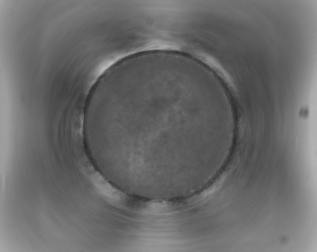 X0000092091220200709121506