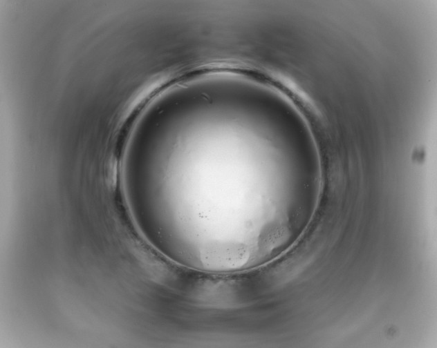 X0000092091221200709121506