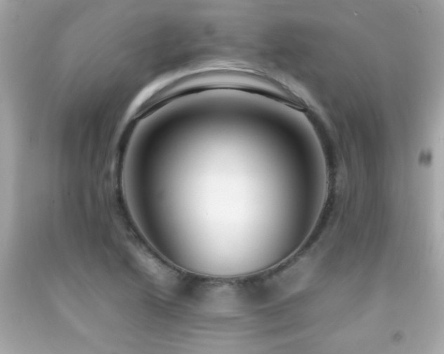X0000092091222200709121506