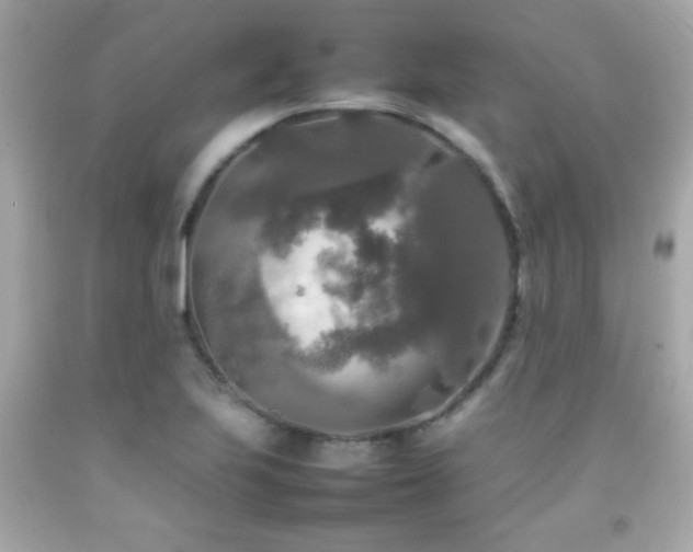 X0000092091223200709121506