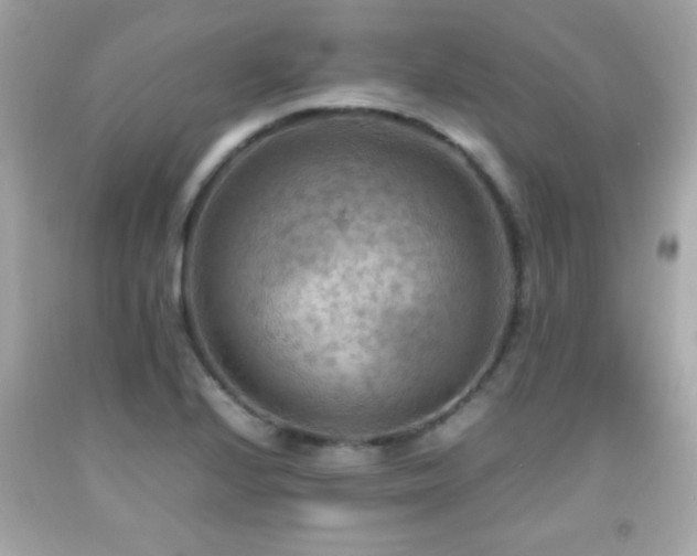 X0000092091224200709121506