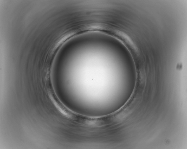 X0000092091225200709121506