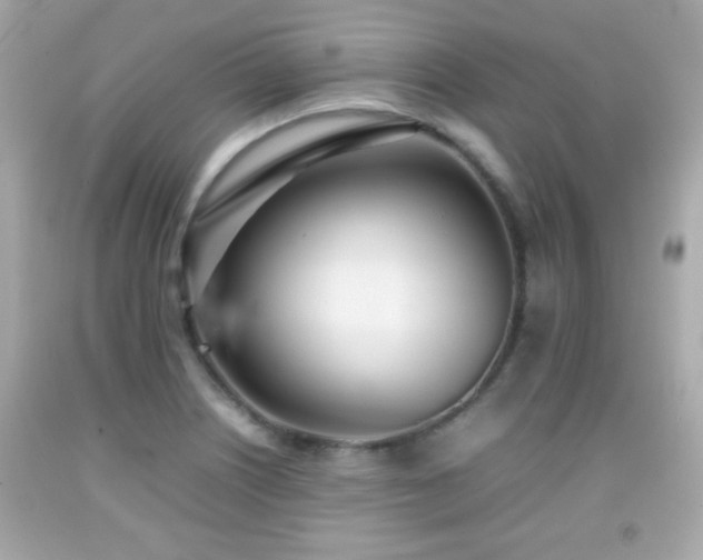 X0000092091226200709121506