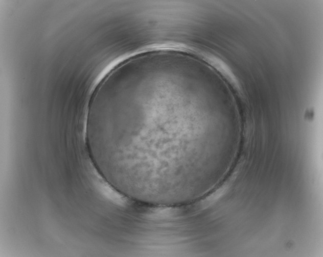 X0000092091228200709121506