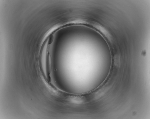 X0000092091229200709121506