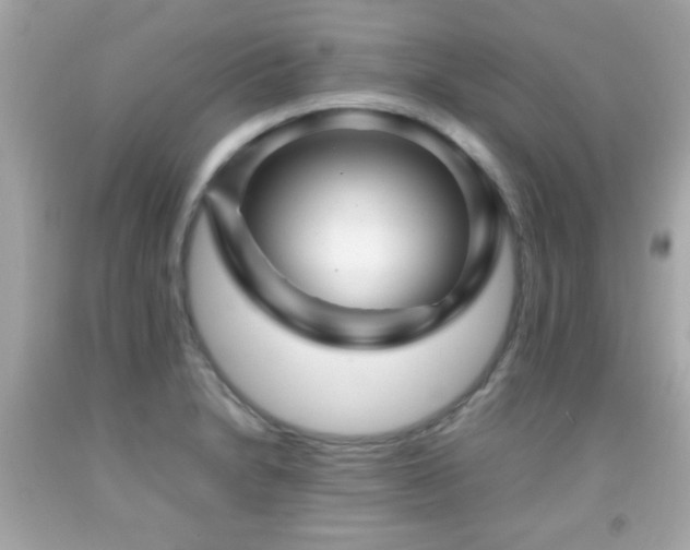 X0000092091230200709121506