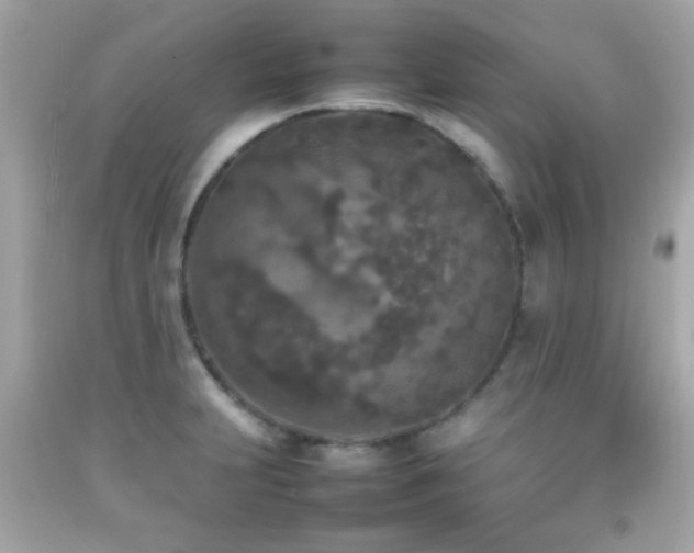 X0000092091231200709121506