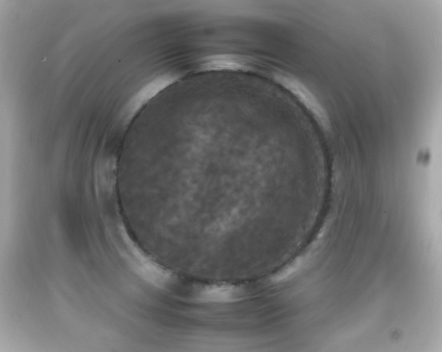 X0000092091233200709121506