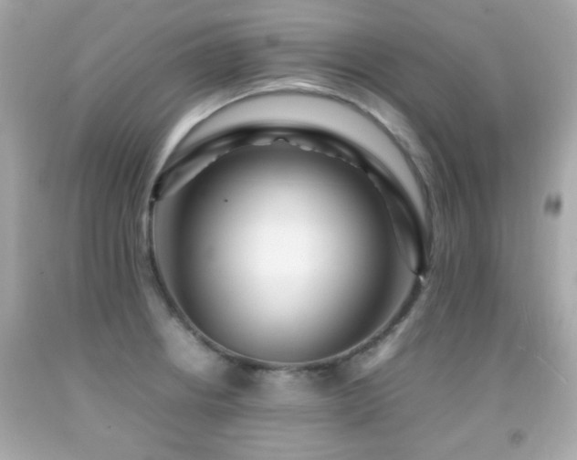 X0000092091234200709121506
