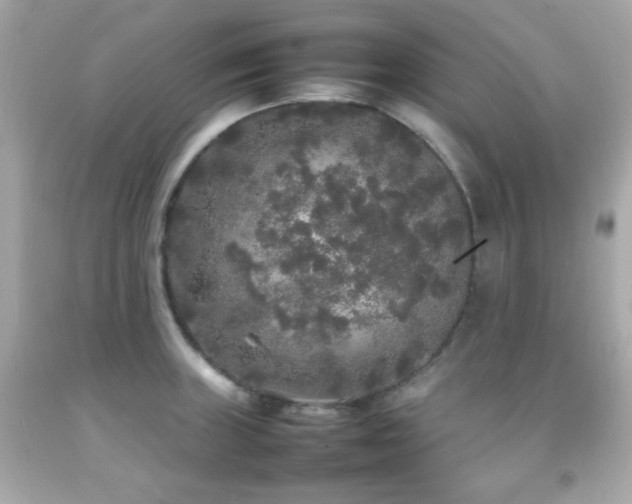 X0000092091235200709121506