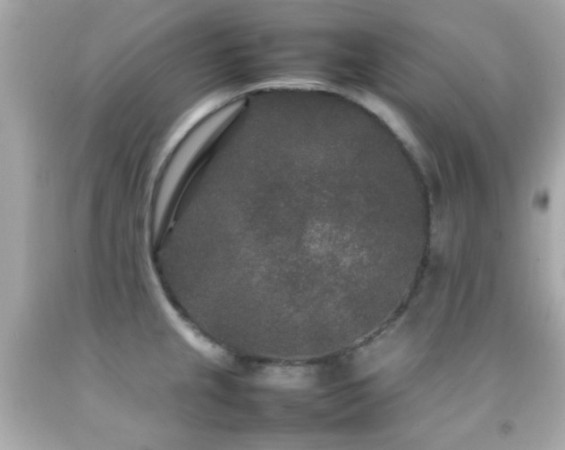 X0000092091237200709121506