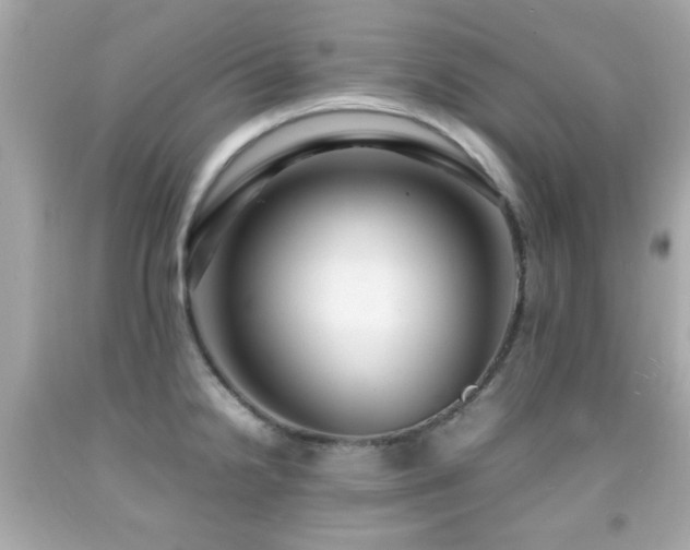 X0000092091238200709121506