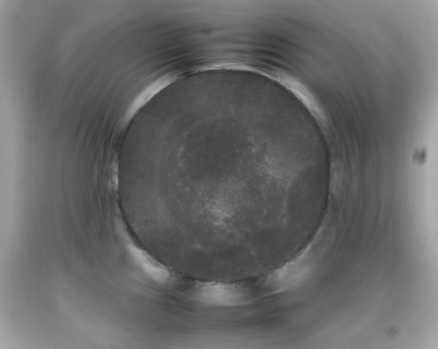 X0000092091241200709121506