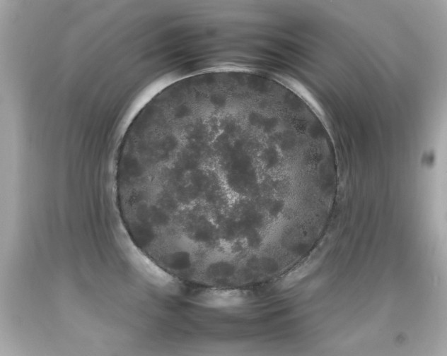 X0000092091243200709121506