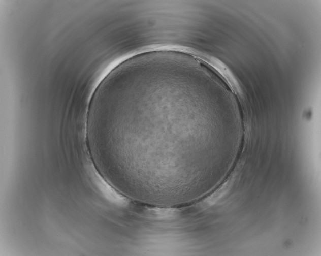 X0000092091244200709121506