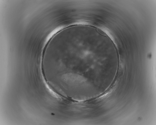 X0000092091245200709121506