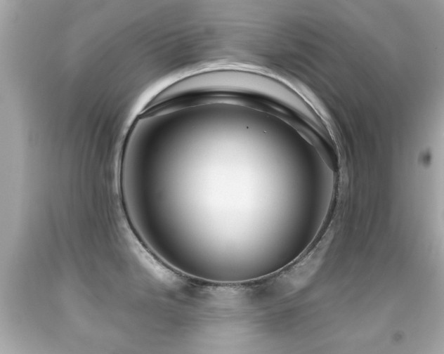 X0000092091246200709121506
