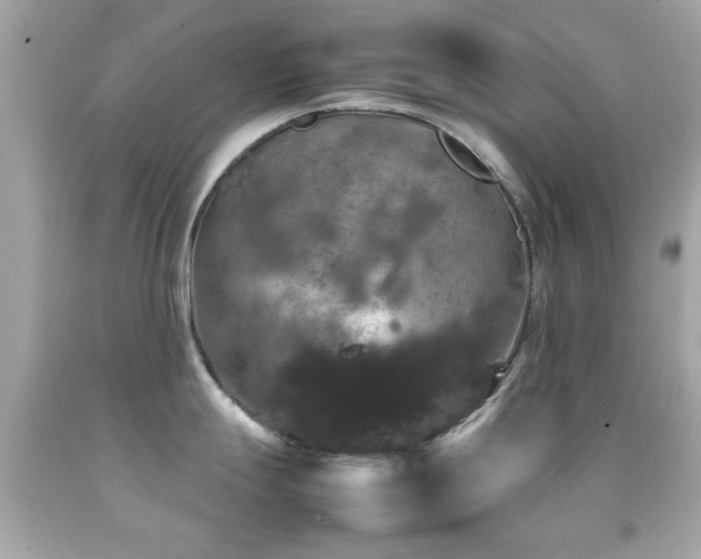 X0000092091247200709121506
