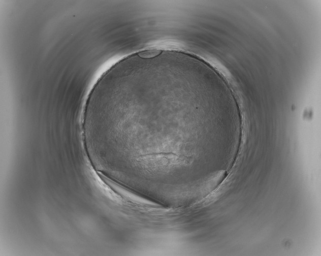 X0000092091248200709121506