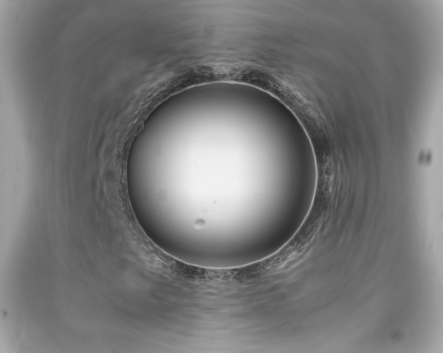 X0000092091249200709121505