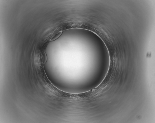 X0000092091250200709121505