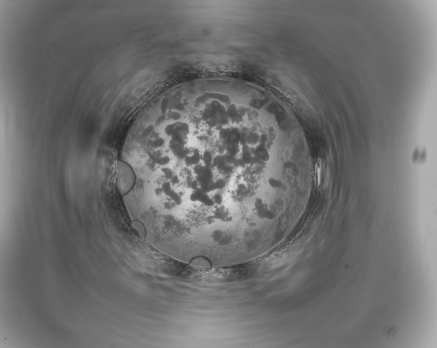 X0000092091251200709121505
