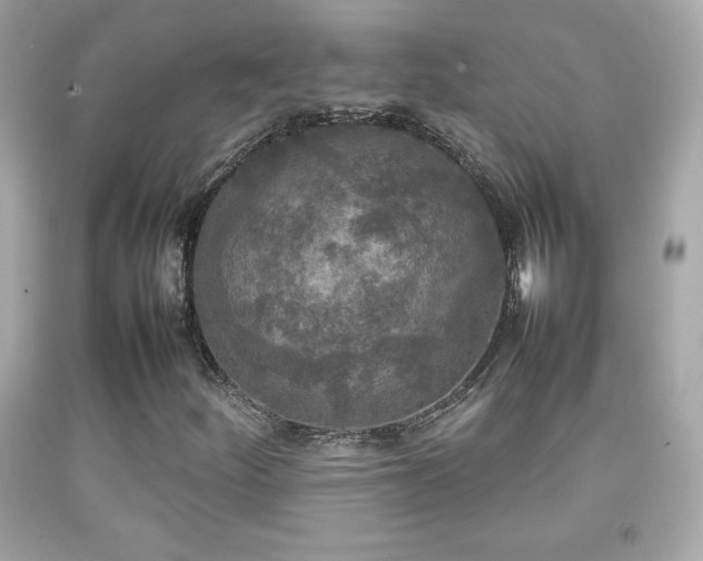 X0000092091252200709121505
