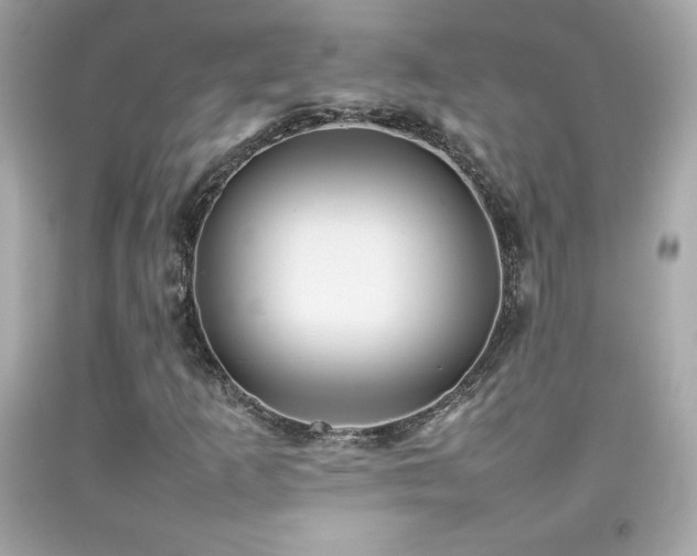X0000092091253200709121505